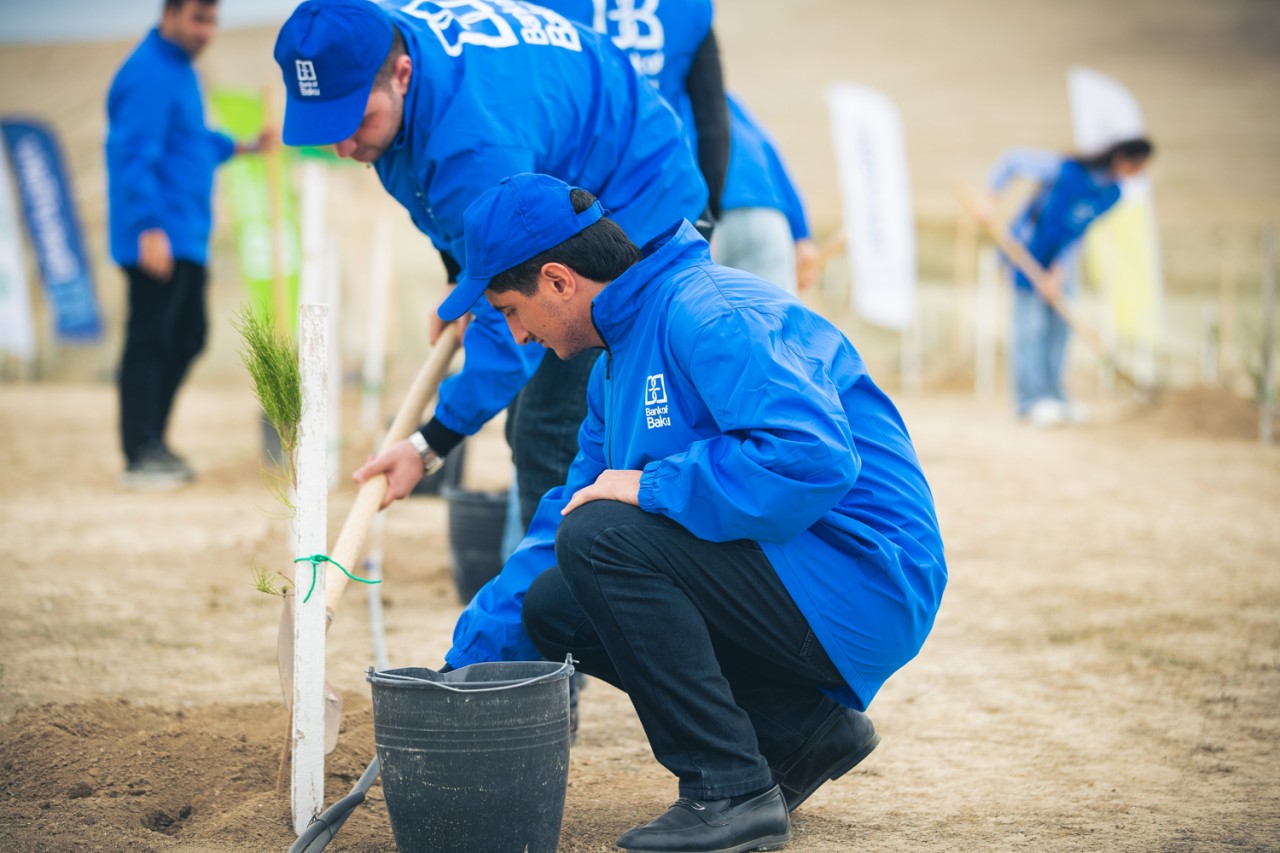 Bank of Baku-dan yaşıl təşəbbüs – növbəti ağacəkmə aksiyası keçirildi